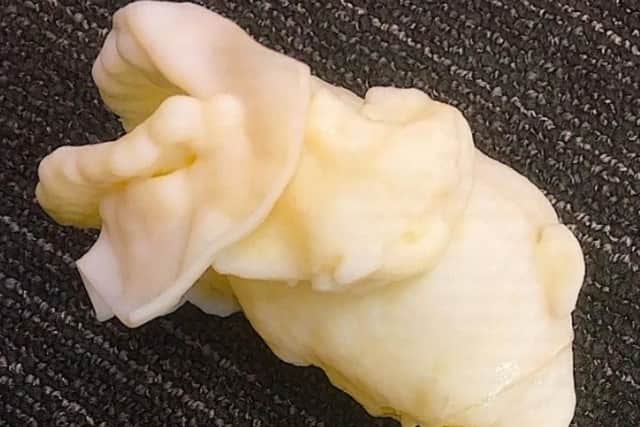 The 3D-printed vocal tract created by Prof David Howard