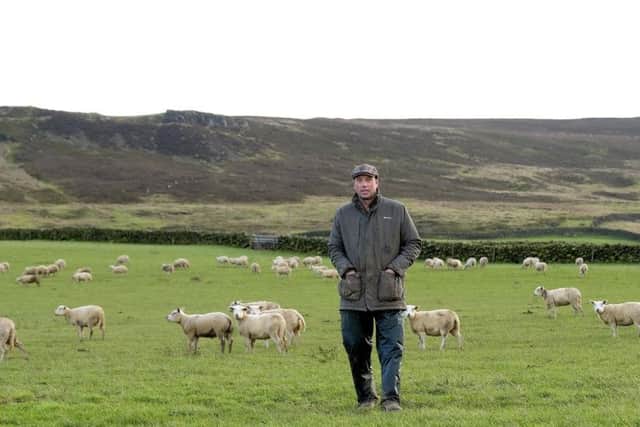 Hill farmer Richard Findlay  at Quarry Farm in Westerdale is an NFU representative and heads up the national livestock board.