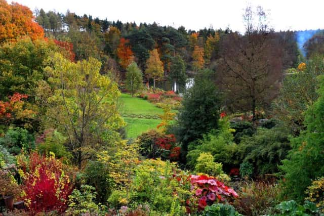 The site has 45 acres of gardens and woodland