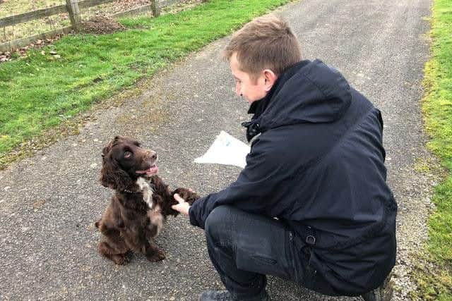 Two year-old PD Barney, a Cocker Spaniel, joins PD Lynne living at home with their handler PC Burleigh