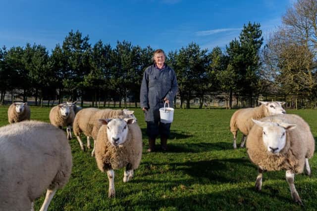 Ruth Russell with her sheep is standing up for the high welfare standards of British meat.