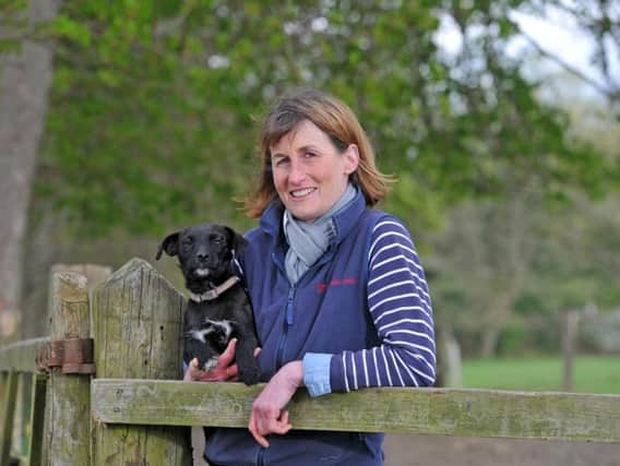Jo has seen good results on the gallops - and in the classroom