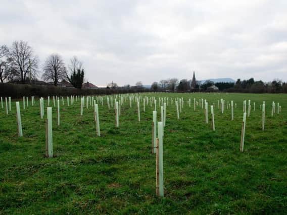 Grants are available for community tree planting projects through the Project which was set up to celebrate Bettys 100th anniversary.