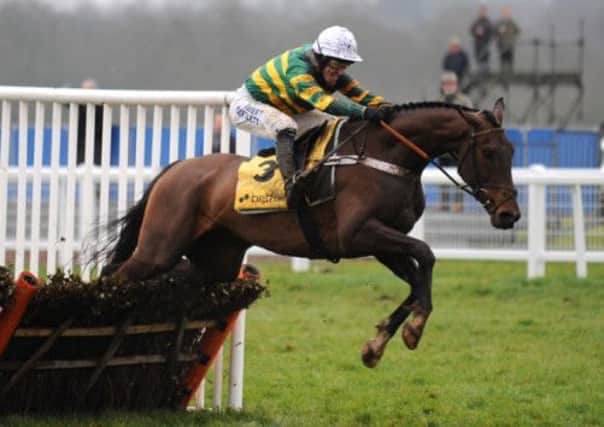 My Tent Or Yours ridden by A.P. McCoy