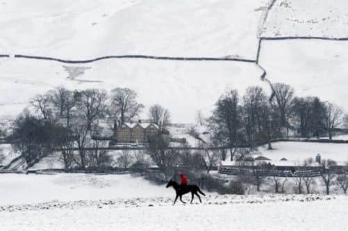 Horses are exercised on the gallops at Middleham, North Yorkshire after more snowfall