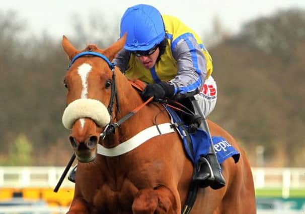 Up And Go ridden by Jason Maguire