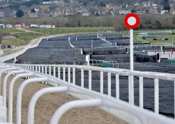 Covers on the course to protect it from the bad weather that is forecast, at Cheltenham Racecourse