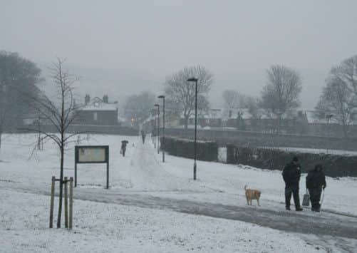 People struggle through the snow whilst walking their dog in Sheffield