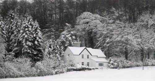 A white house surrounded by snow covered trees in Mold, North Wales
