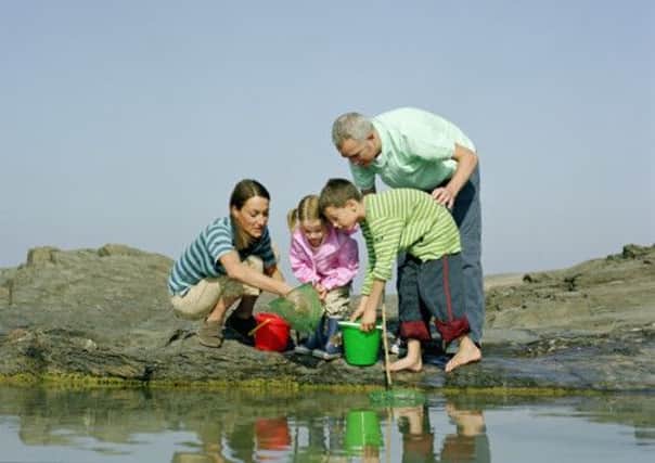 Family with fishing nets and buckets by rock pool