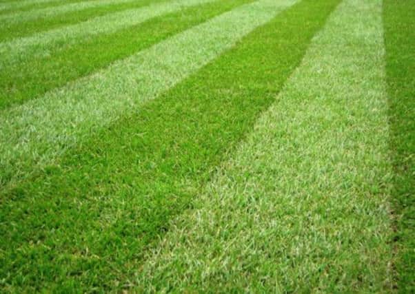How to cultivate the perfect lawn