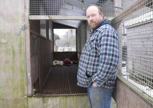 Paul Talling next to the pop hole which allows his chickens to go outside at an early age