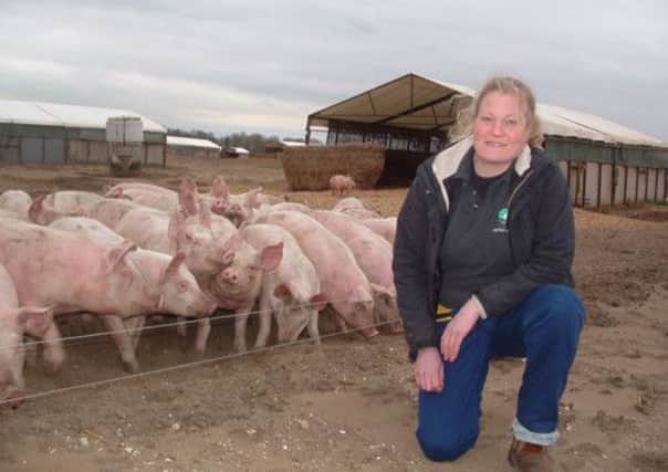 Anna Longthorp at Hayton Grange with her all-female Happy Trotters