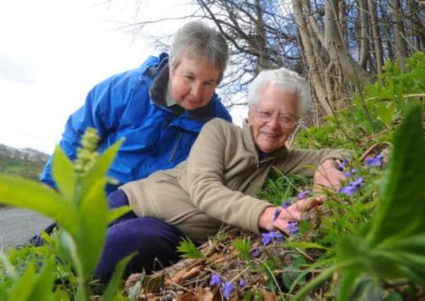 Writers Margaret Atherden and Nan Sykes have been surveying the countys roadside verges since the 1980s