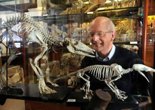 Curator Prof Tim Birkhead looking in to one of the display cases