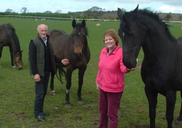 Bill and Sue Raper with horses on their farm at Thornton Lodge Farm