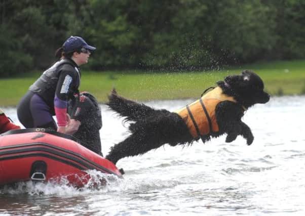 Rufus jumps from the boat watched by owner Becky Trueman.