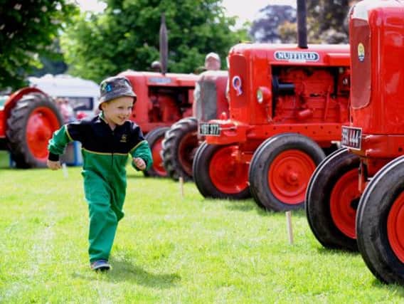 Alfie Leonard, 4, runs excitedly down a line of Nuffield Universal vintage tractors at the Tractorfest event at Newby Hall near Ripon