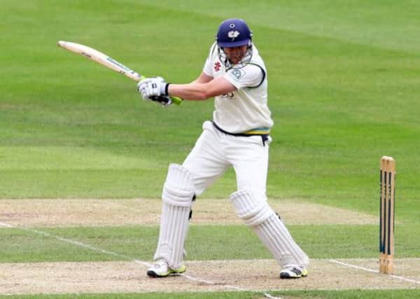Yorkshire's Andrew Gale hits out.