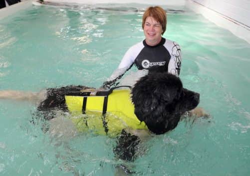 Kim Middleton, canine hydro therapist, with Lola the Newfoundland Landseer