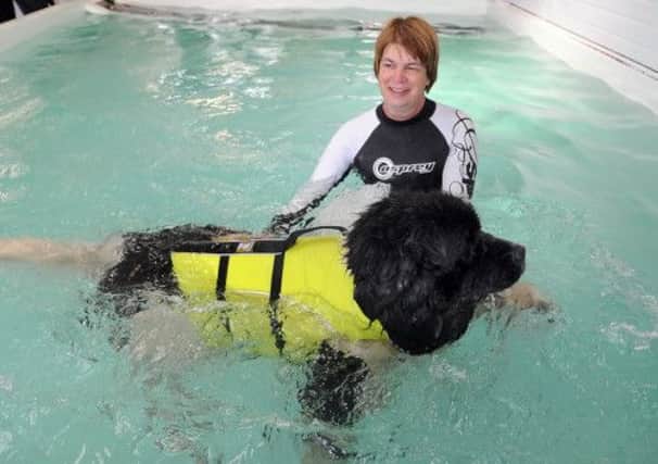 Kim Middleton, canine hydro therapist, with Lola the Newfoundland Landseer