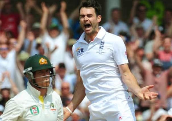 England's James Anderson celebrates after bowling Peter Siddle