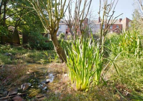 Jamile Hussain's waterlogged garden. 

Pictures: Ross Parry Agency