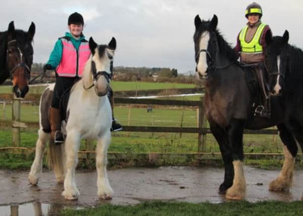 From left: Bertie, Clippie, ridden by Lauren Charlton, Lily, ridden by Debbie Eastwood, and Clover.