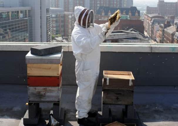 Beekeeper Chris Barlow with the two hives on the rooftop at The Queens hotel in Leeds city centre