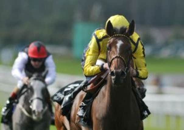 Jockey James Doyle rides Rizeena to victory