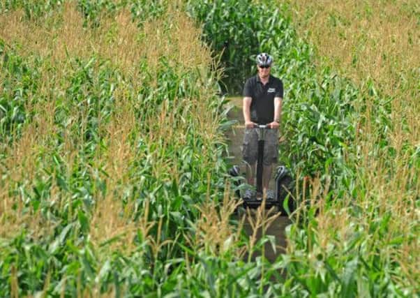 Glenn Bevons of Seggie Segway offering tours of the Maize Maze at Farmer Copley's near Pontefract