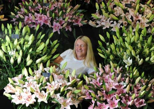Ssurrounded by oriental lilies, Gemma Greenwood of Glen's Garden Gems, Hedon, Hull