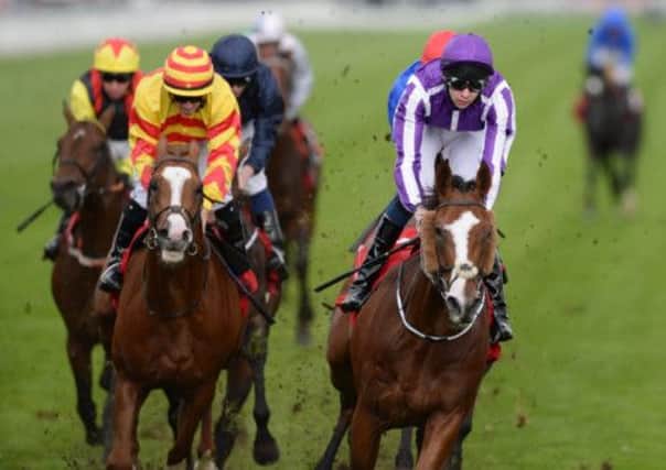 Leading Light and Joseph O'Brien (right) win the Ladbrokes St Leger Stakes