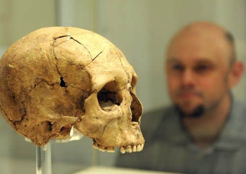 Experience Barnsley's Jason White with the skull of an adult Roman man AD 140-380
