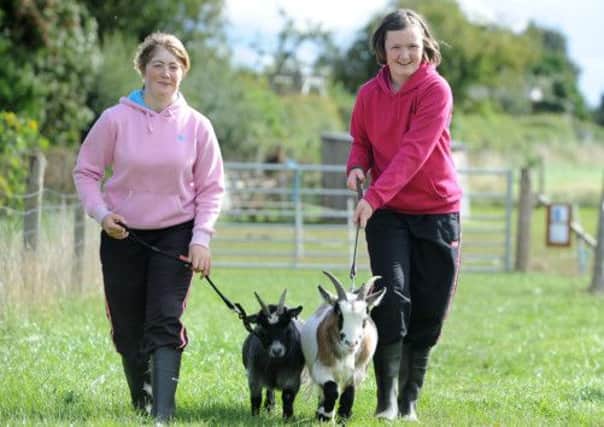 14 year old Heidi Marsden and Lucy Coughlin walking goats at the farm