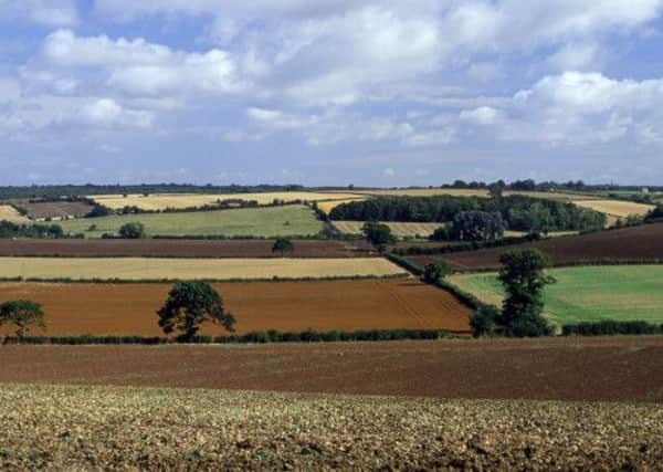 'Huge efforts must be made to preserve Yorkshire's farming heritage'