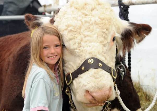 Nine-year-old Beth Barker from Kirbymoorside gets cosy with Wythen General, a Hereford Bull from Barwick in Elmet
