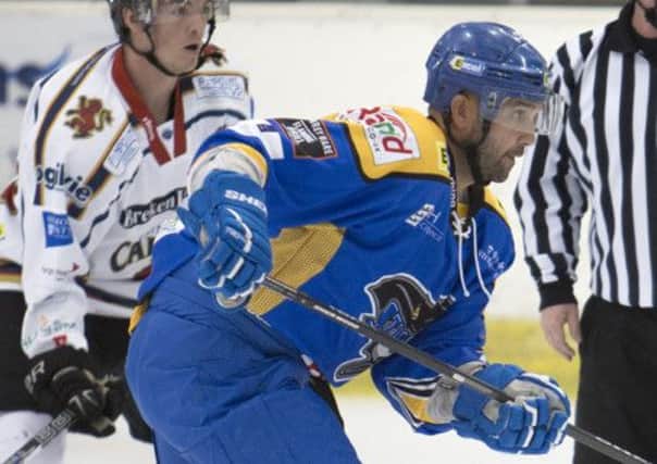 HARD WORK: Hull Stingrays' player-coach Sylvain Cloutier. Picture: Arthur Foster.