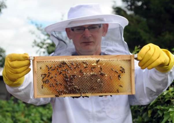 Beekeeper Andy Brown