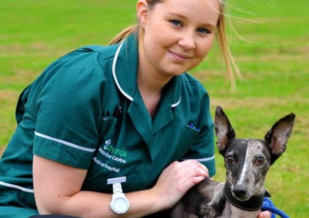 Otis with vetinerary nurse Jade Mitchell. Picture: Ross Parry Agency
