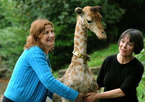 Artist Charlotte Cory (left) carries a stuffed giraffe to  the Bronte Parsonage Museum with Collections Manager Ann Dinsdale