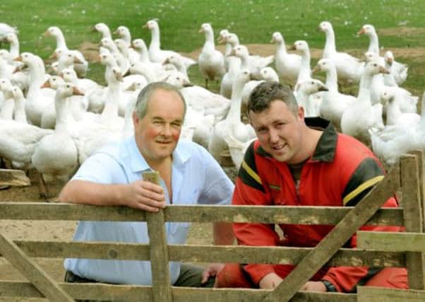 Simon Waudby with farm employee Kristian Mitchell amongst the geese at Headlands Farm, Flawith near Easingwold