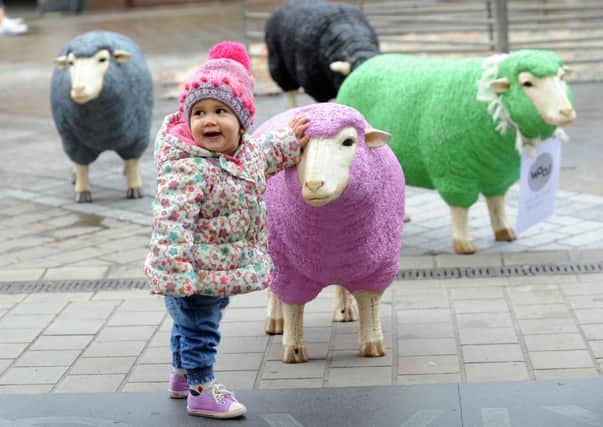 Sheep are let loose into a pen on Briggate, Leeds, as part of Leeds College of Art Wool Week