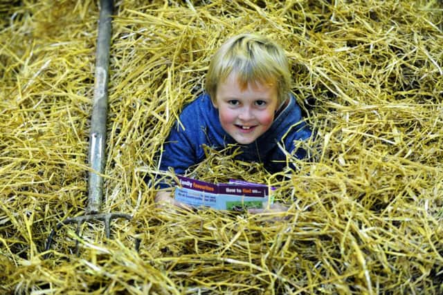 Taking it easy after helping get his family's cattle into  Countryside Live  at the Great Yorkshire Showground  is Ted Lloyd, 8, from Ludlow