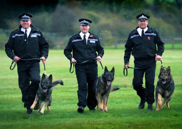 From left, PC Mick Kilburn with Chance, Mark Brierley with Vince and Andy McKeown with Uzi.