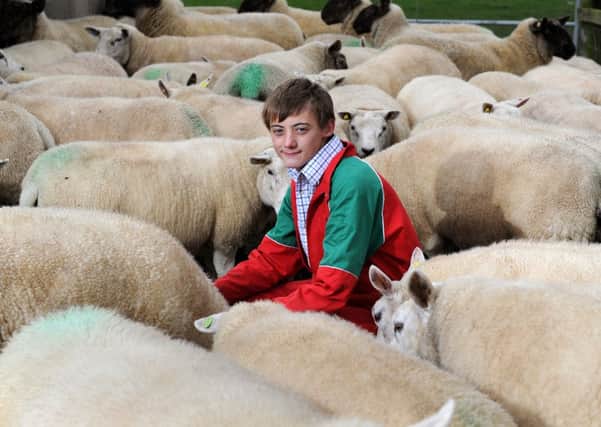 Young Shepherd of the Year Declan Bulmer, and his mother Angela, below.