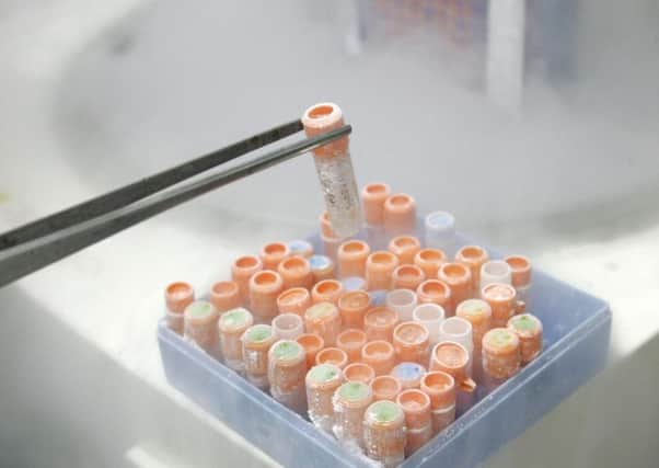 Small test tubes filled with stem cells