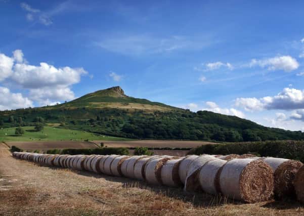 Roseberry Topping near Great Ayton, and Rievaulx Abbey, below.