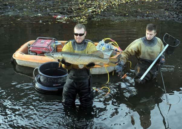 James Kirk, from MEM Fisheries Ltd, holding a large Pike, with his brother Joshua