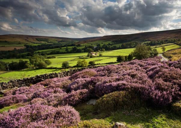 The North York Moors National Park Picture: Mike Kipling/North York Moors National Park Authority